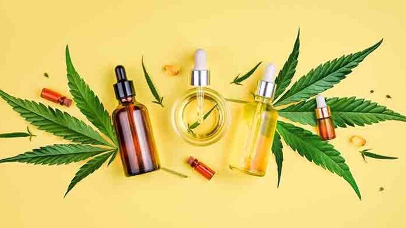 The Most Reputable CBD Shop in Italy