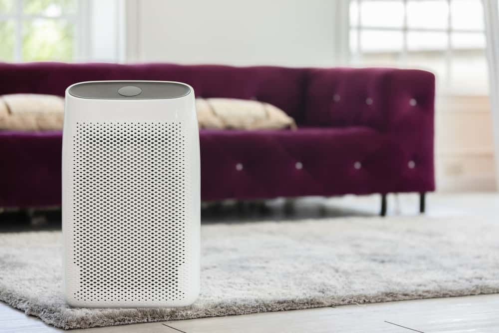 Why A HEPA Filter Is Required For Your Air Purifier